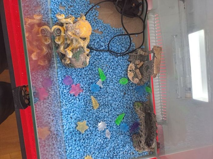 50 Litre Fish Tank