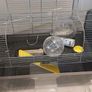 Hamster Cage Image 2