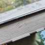 Woodwalkers 1-6 (German) Image 4