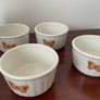 Vintage Aynsley Cottage Garden Set of 4 Ramekin Dishes Image 4