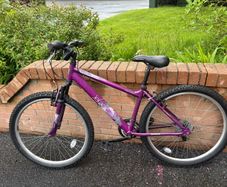Ladies Mountain Bike