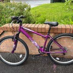 Ladies Mountain Bike