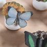 Scotland Direct Butterfly thimble set collection x 15 Sutherland England vintage Image 9