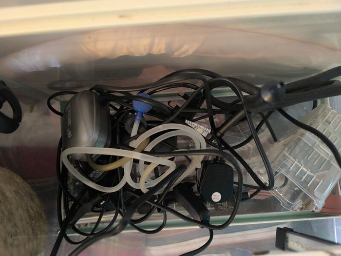 20L fish tank and all accessories included