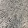 carpet Image 2