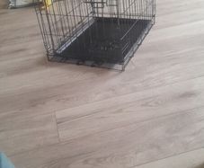 dog crate