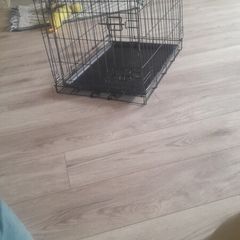 dog crate