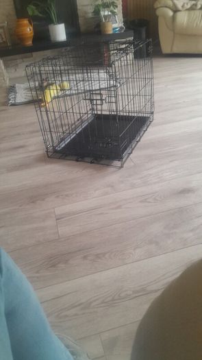 dog crate