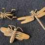 3 brass Insects, Solid brass. Image 2