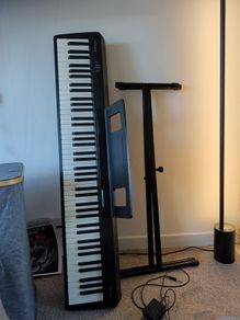 Roland FP-10