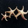 brooch Image 2