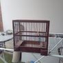 bird finch canary hopper cage I gave my birds away Image 3