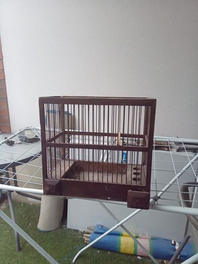 bird finch canary hopper cage I gave my birds away