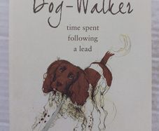 Diary Of A Dog-Walker