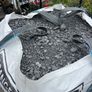 free 804 hardcore Image 2