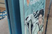 Vermonia: Quest for the Silver Tiger Vol 1  1st Edition + Dust Jacket