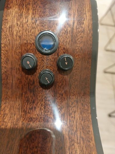 Breedlove Concert Pro guitar.
