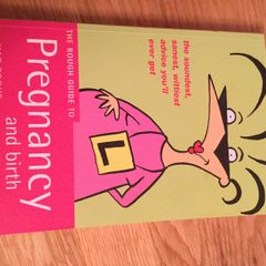 The Rough Guide to Pregnancy and Birth