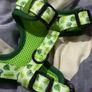 dog harness Image 2