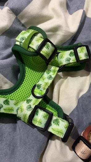 dog harness