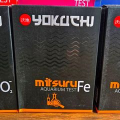 Yokuchi Mitsuru Aquarium Test Fe
