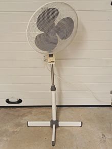 Fan
