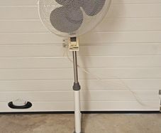 Fan