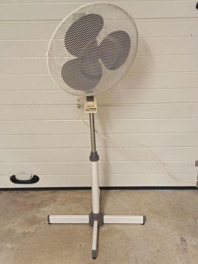 Fan
