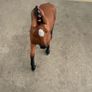 Schleich Hanoverian Mare (13817) from the Horse Club collection. Image 2
