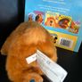 Bear In The Big Blue House Image 2