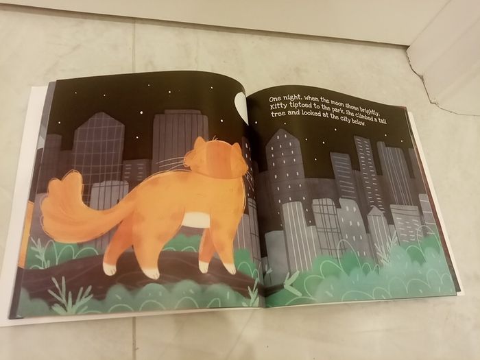 Big City Kitty book