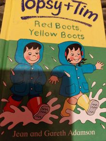 Topsy and Tim ; Ladybird (294)