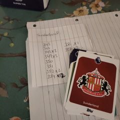 Sunderland premier league cards