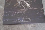 David Gray double album. Not opened