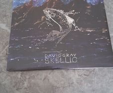 David Gray double album. Not opened