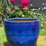 ceramic plant pot(s) Image 4