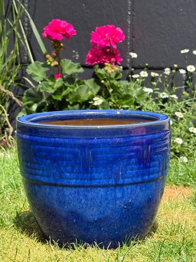 ceramic plant pot(s)