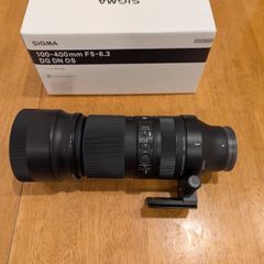 Sigma 100-400 DG DN OS (Sony E Mount)