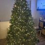 The Orchard 'the national tree company' 7.5ft feel real Newberry Spruce tree Image 6