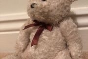 teddy