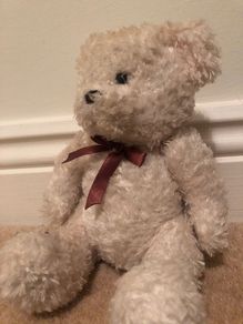 teddy