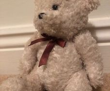 teddy