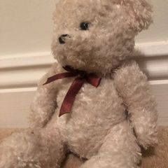 teddy