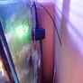 Complete Running Reef Tank Image 3