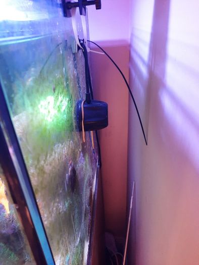 Complete Running Reef Tank