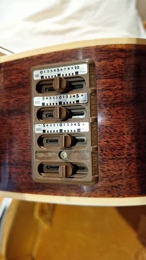 Takamine Ef360s 1986