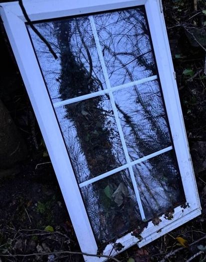 Window