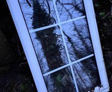Window