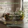 Handcrafted Irish Terrarium Trio | Unique Glass & Succulent Home Decor Image 2