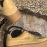 Premium Suede Nike Air Force 1 Image 3